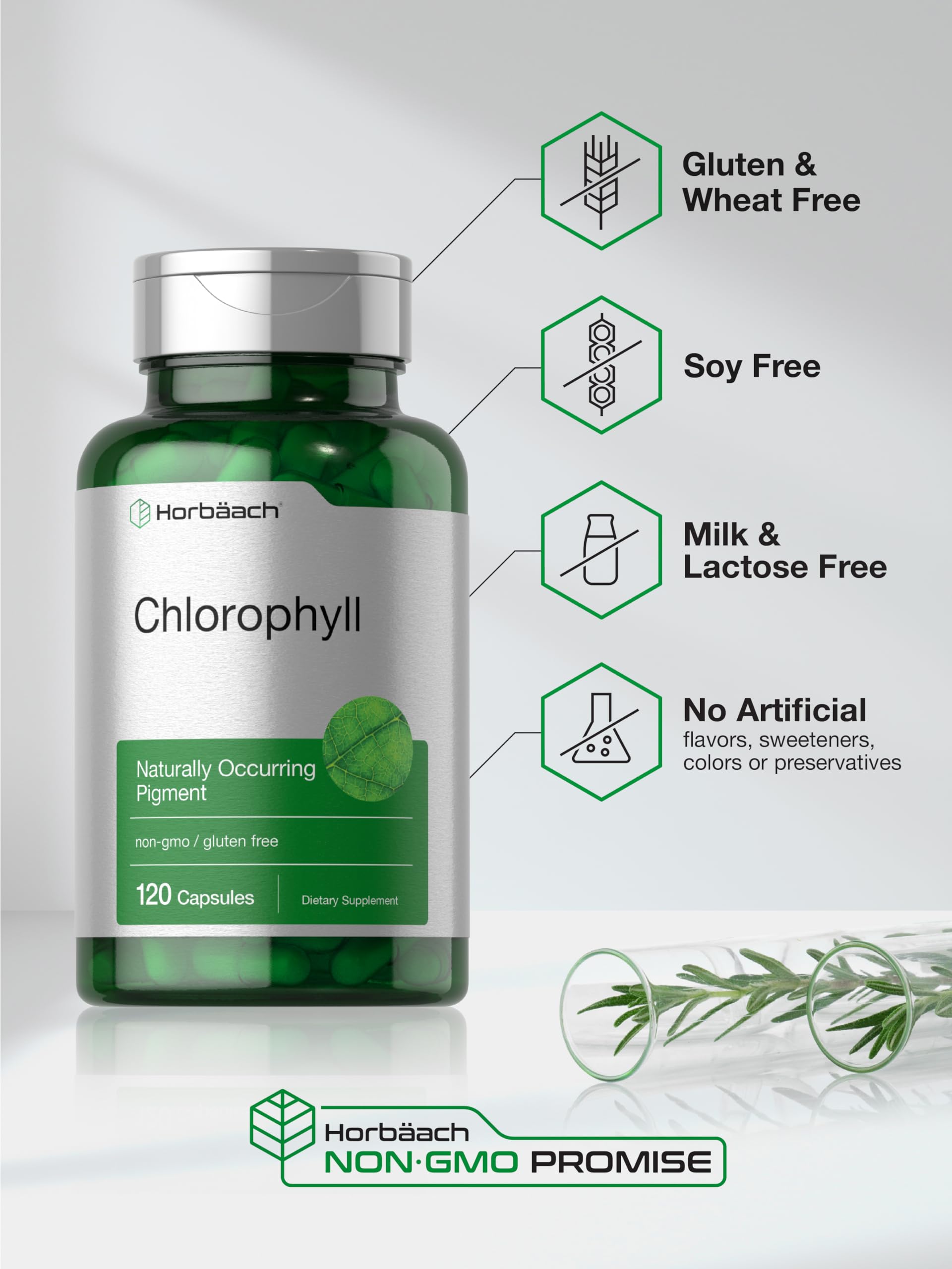 Nutrition label on Horbaach Chlorophyll Capsules bottle