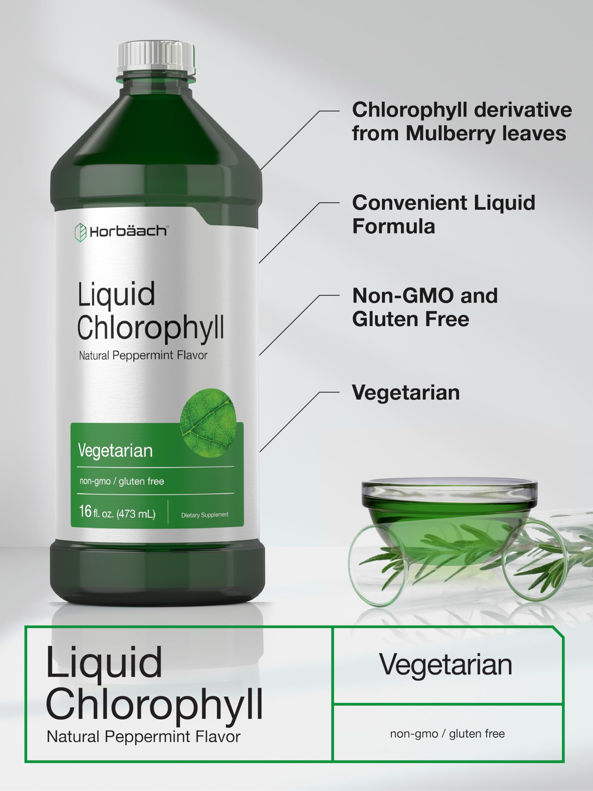 Mulberry leaf source illustration for chlorophyll