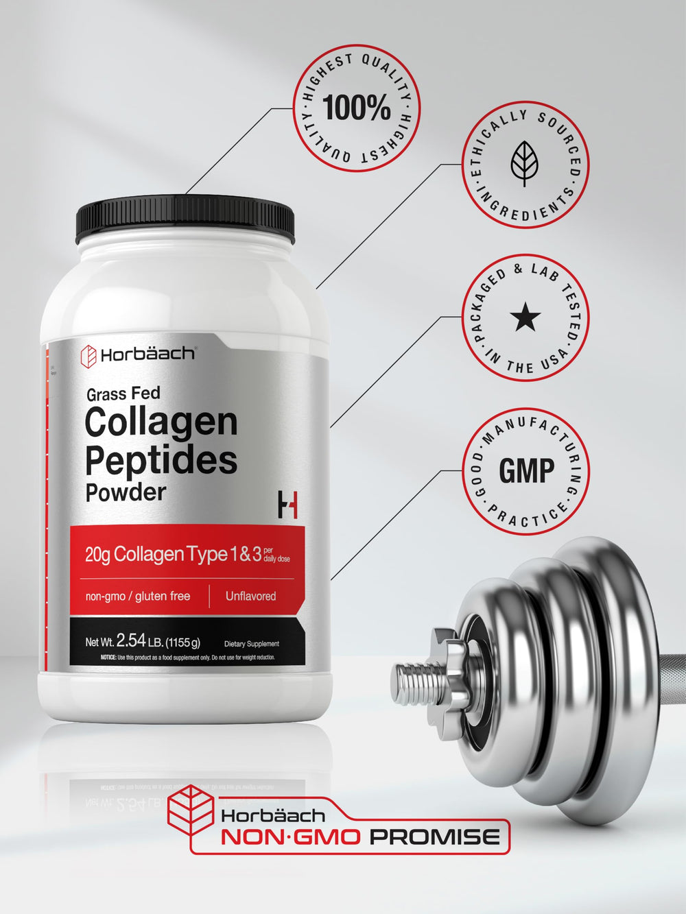 Kitchen-ready collagen powder for recipes and smoothies