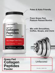 Non-GMO and gluten-free collagen powder, 40 oz