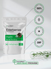 Sambucus Nigra Elderberries