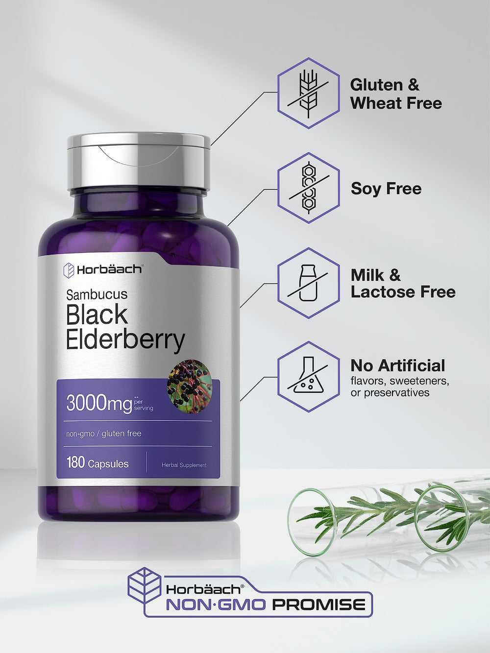Graphic illustrating elderberry extract ingredients