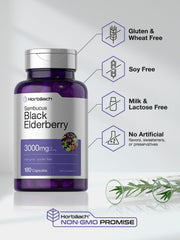 Graphic illustrating elderberry extract ingredients