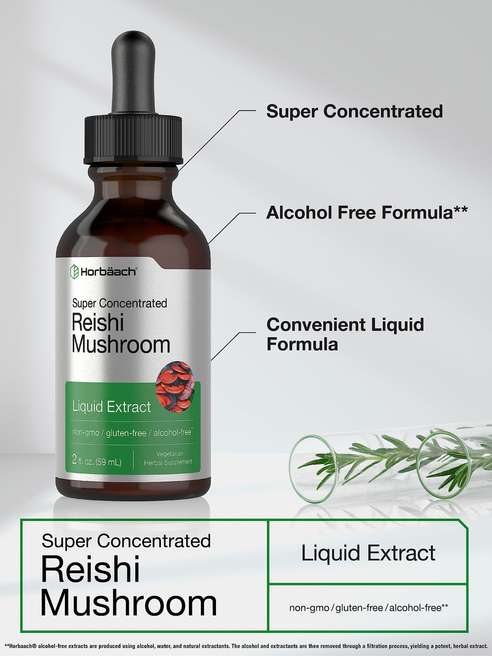 Ganoderma lucidum Reishi extract label