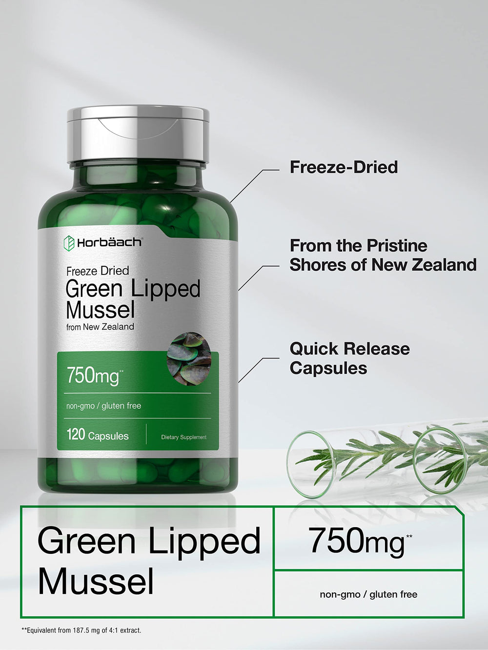 Horbäach Green Lipped Mussel supplement bottle front view