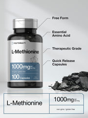 Illustration of free-form amino acid concepts for L-Methionine