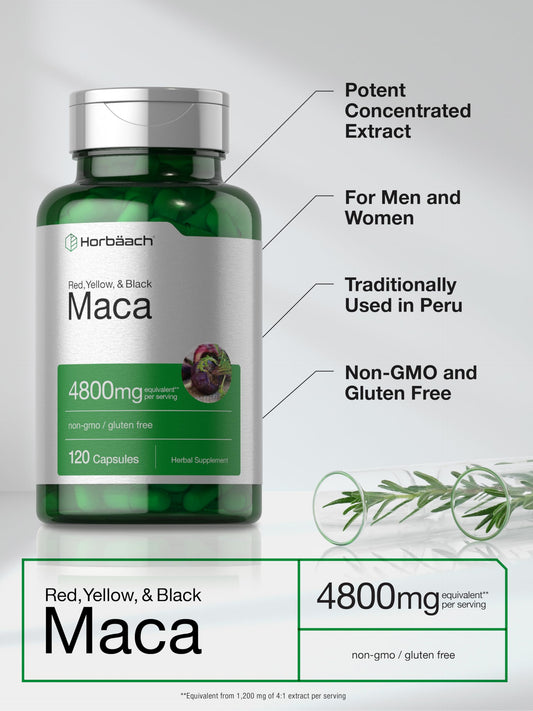 Front label view of Horbäach Maca Root Capsules
