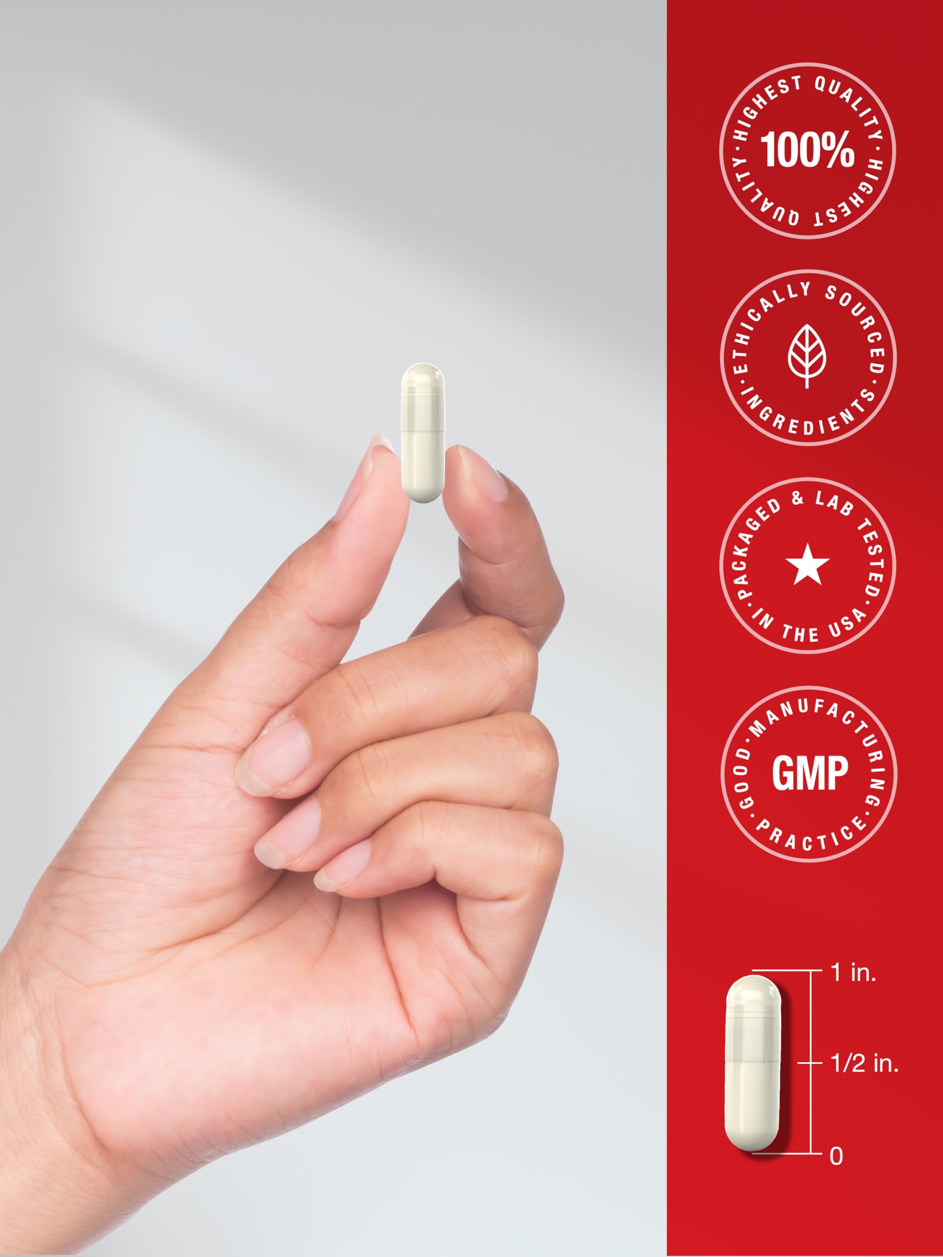 Quality control process in Horbaach manufacturing facility