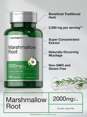 Marshmallow Root Capsules label close-up with ingredients