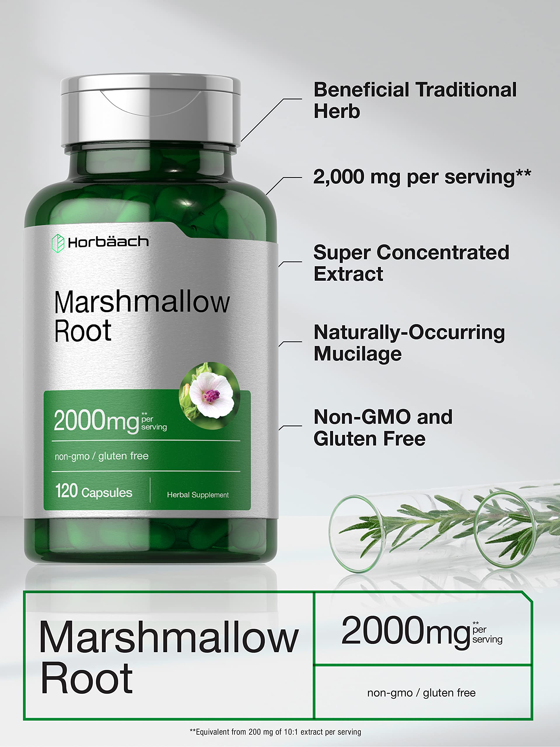 Marshmallow root capsule ingredients on label