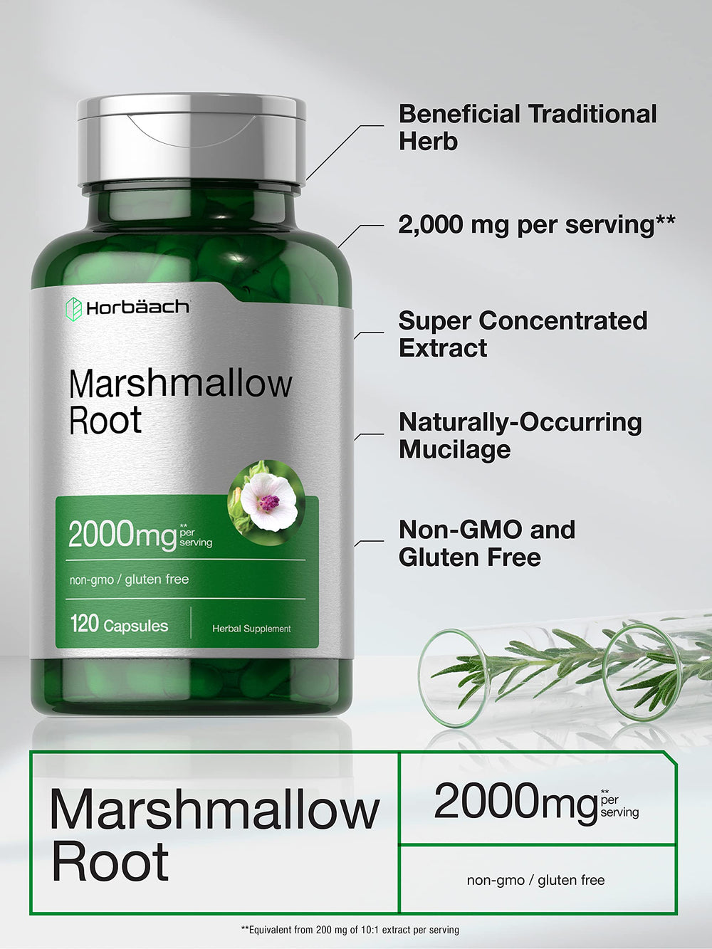 Marshmallow root capsule ingredients on label
