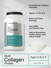 Types I, II, III, V and X collagen types graphic