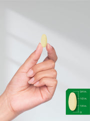 Two Horbaach KSM-66 Ashwagandha Caplets bottles in a pack
