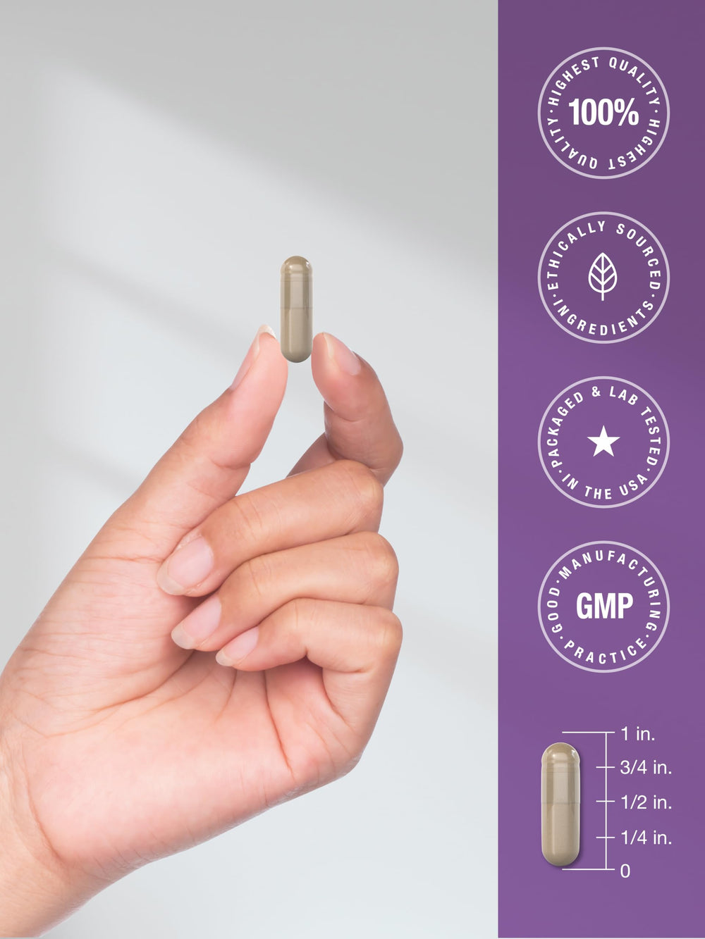 Supplement facts panel for Resveratrol Berberine Grape Seed Quercetin