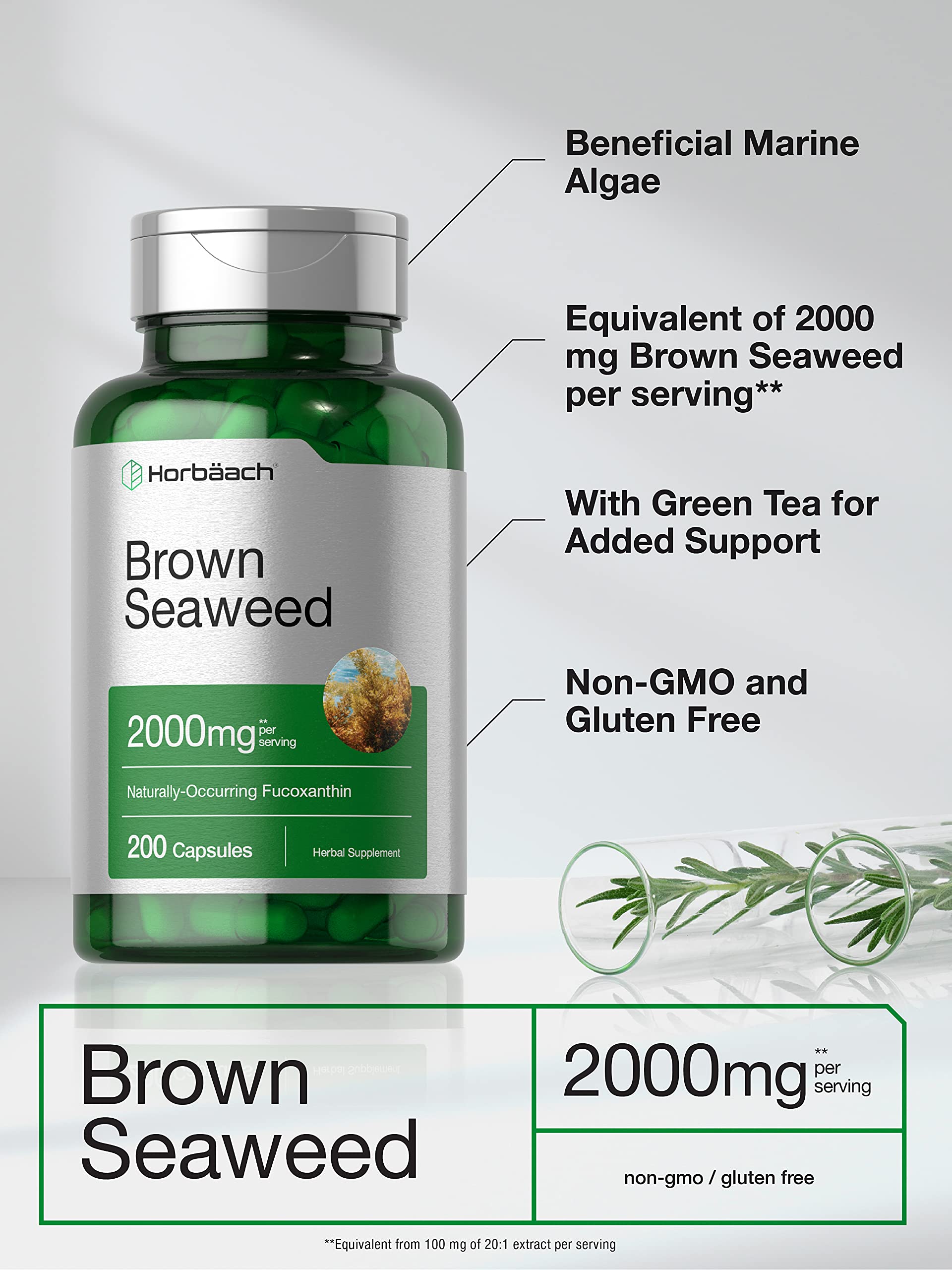 Illustration highlighting fucoxanthin-rich seaweed extract