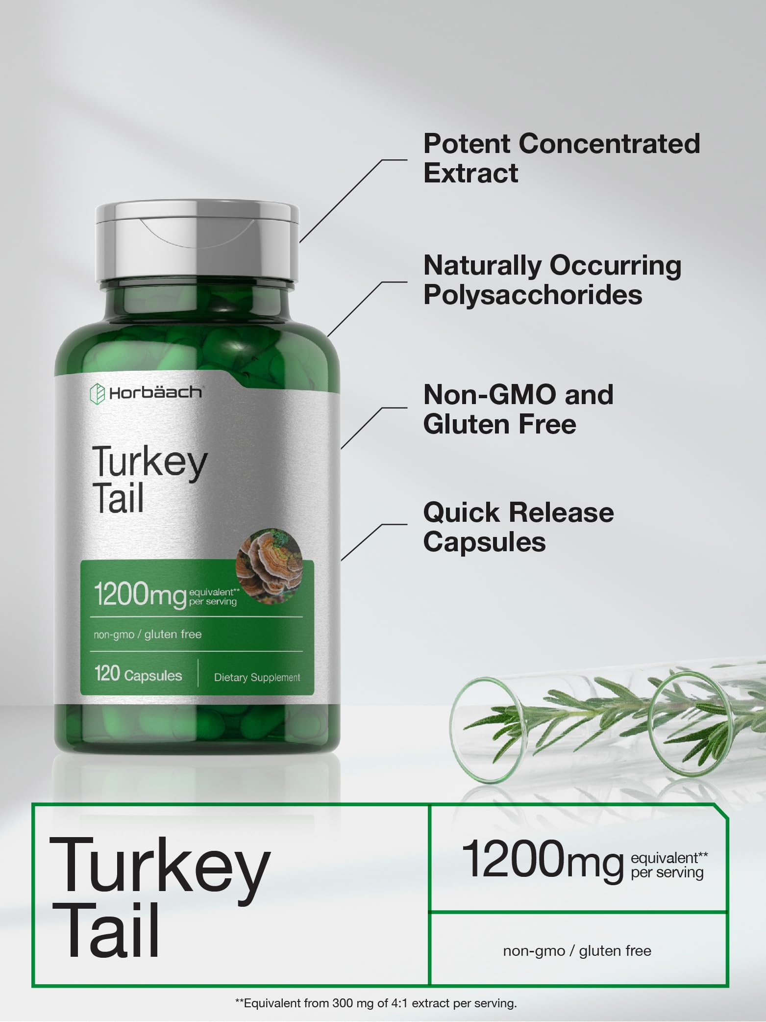 120-count bottle of Horbäach Turkey Tail Mushroom Capsules