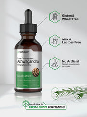 Withania somnifera root plant used in the supplement