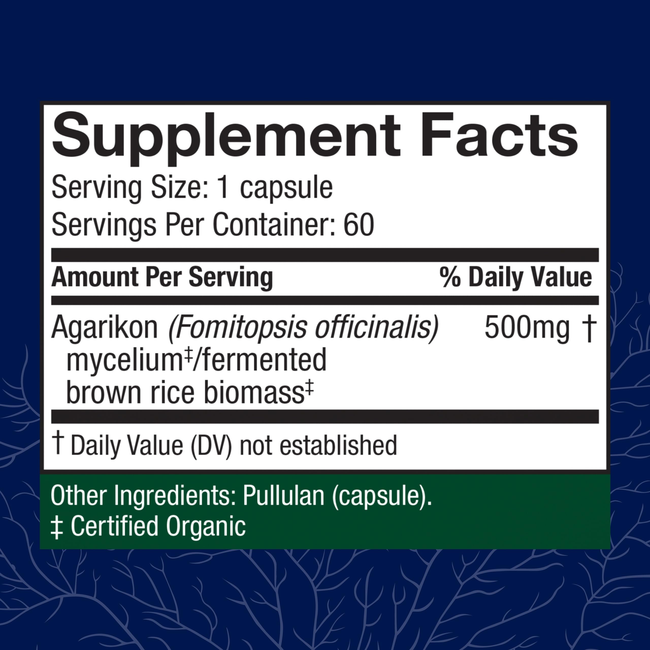 Close-up of Agarikon mushroom used in the supplement