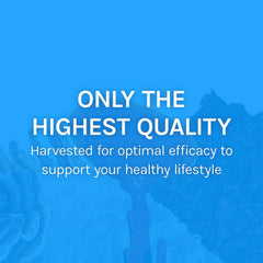 Non-GMO and gluten-free icons beside capsules