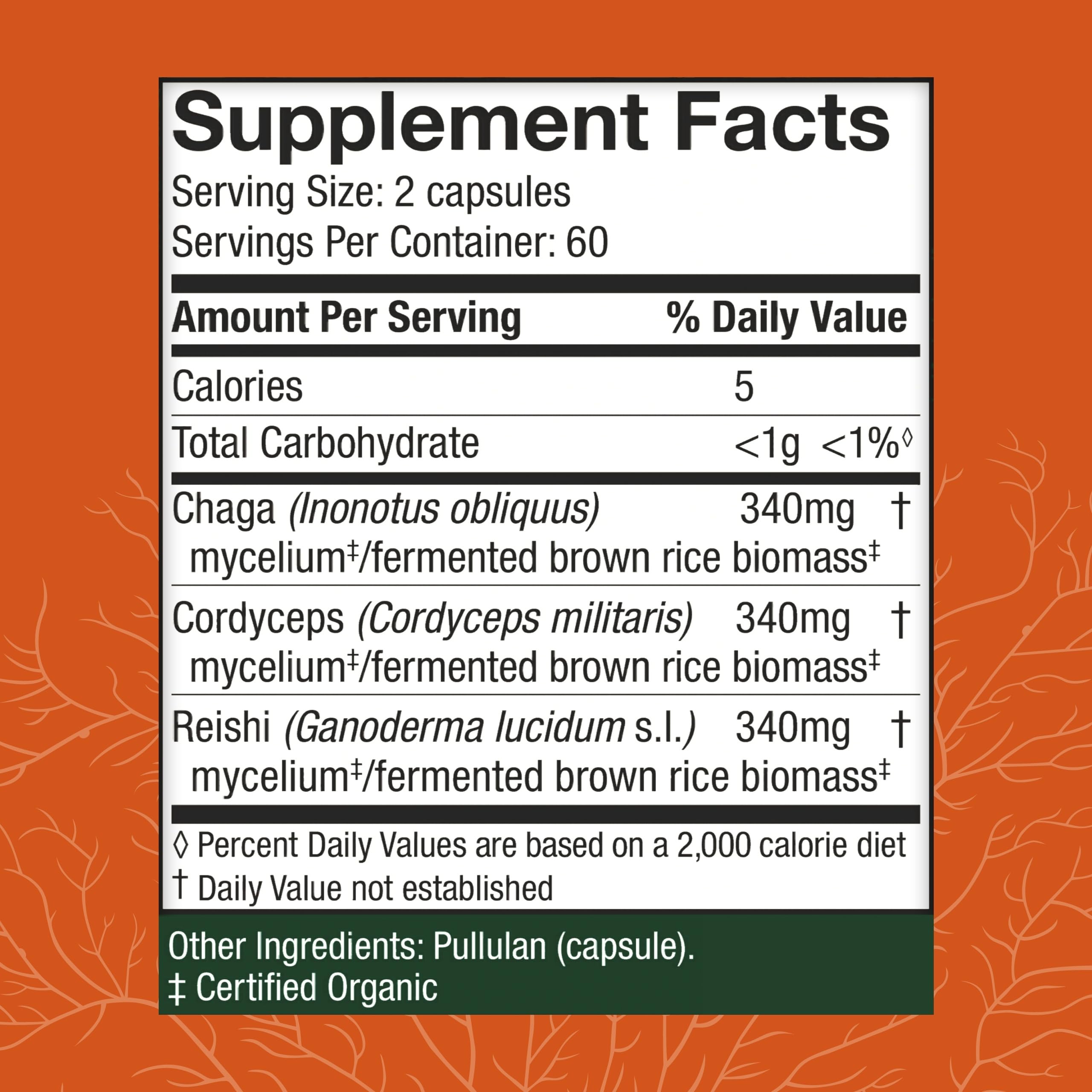 Illustration of Chaga, Reishi, and Cordyceps mushrooms used in Breathe capsules