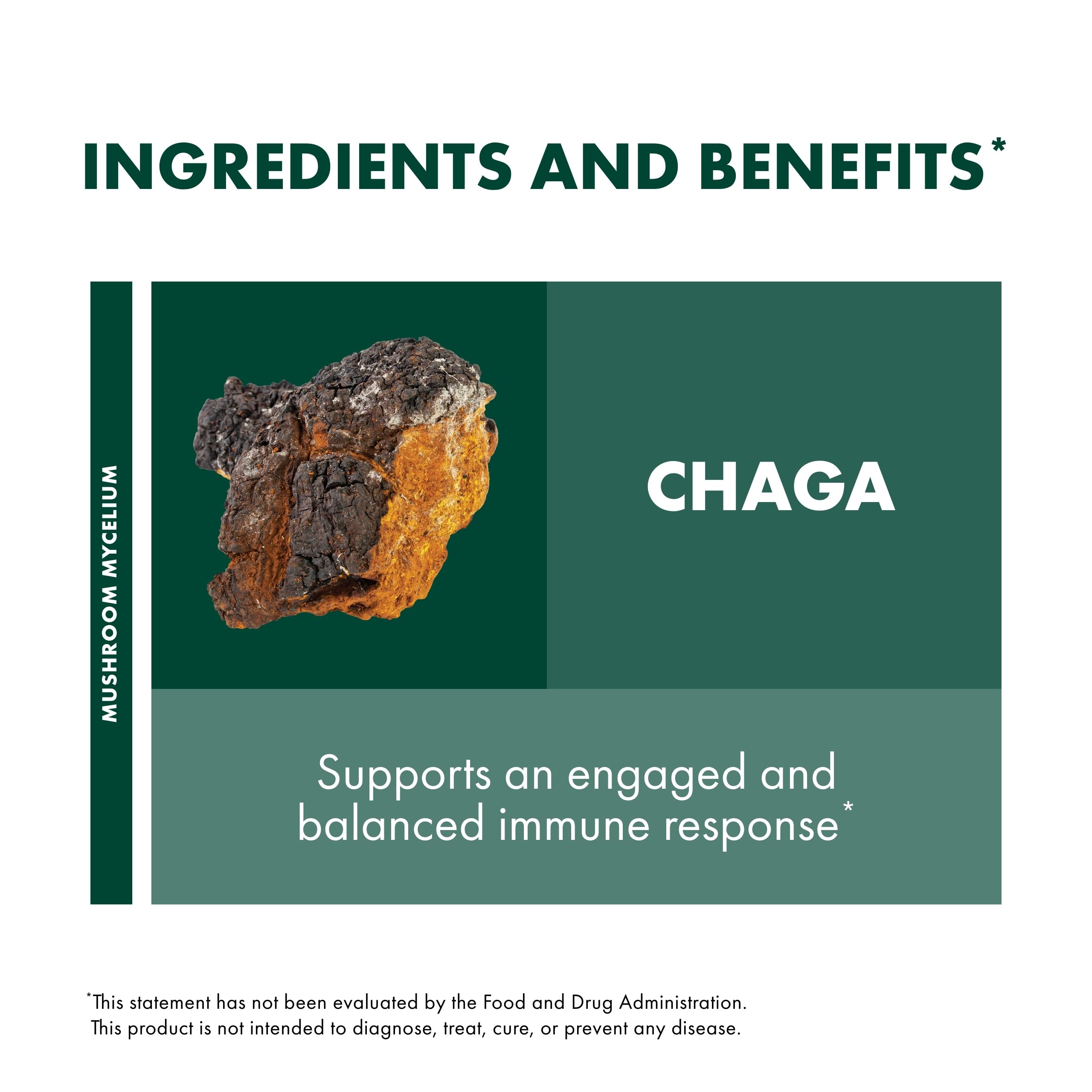 Host Defense Chaga Capsules packaging with label