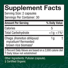 Chaga mushroom antioxidant activity representation