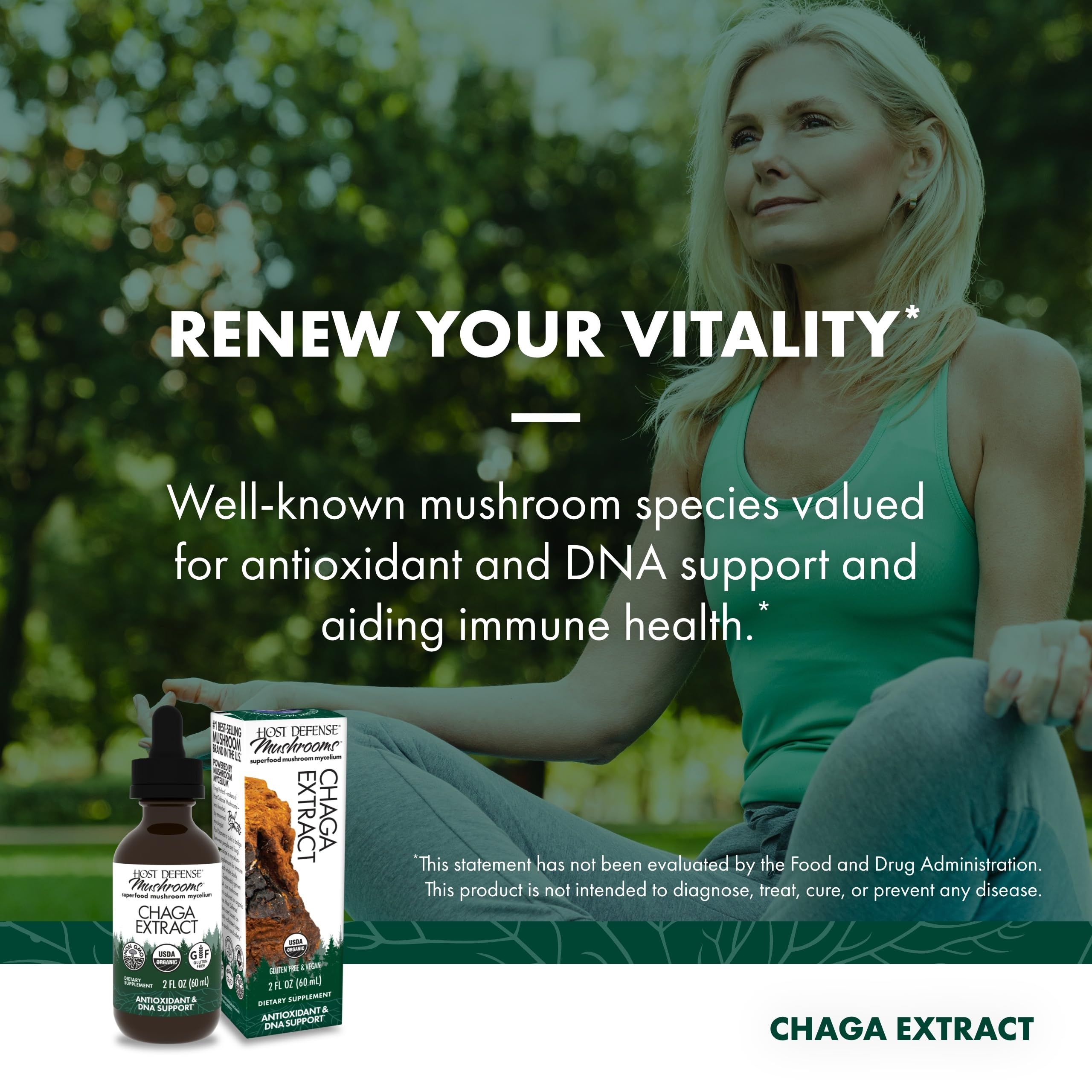 Chaga mushroom extract ingredients image