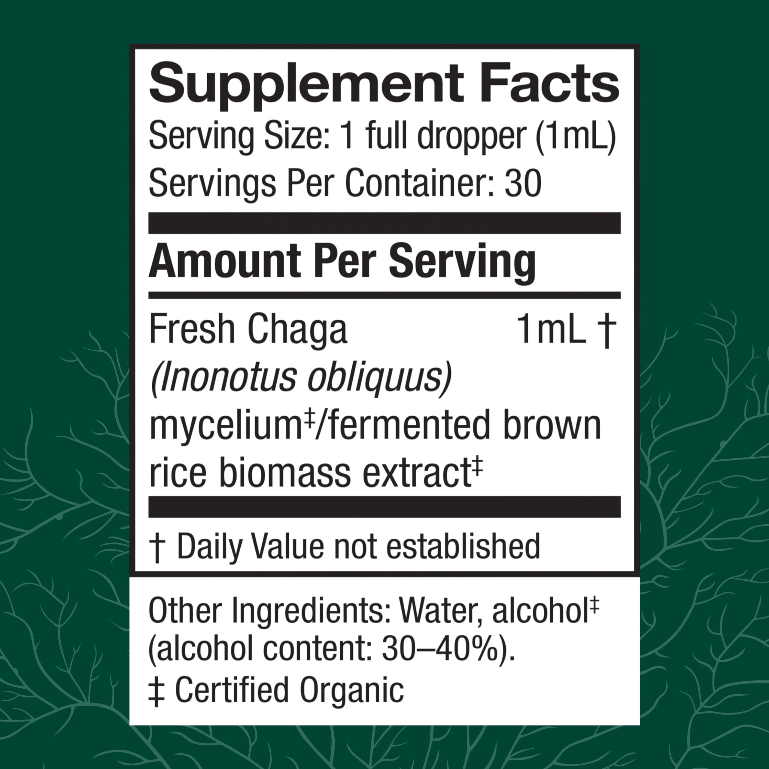 Close-up of Chaga extract label and branding