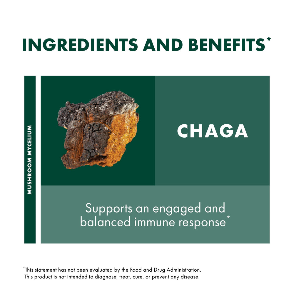 Mushroom mycelium on organic brown rice substrate illustration on packaging