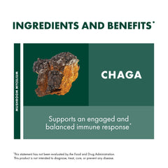 Mushroom mycelium on organic brown rice substrate illustration on packaging