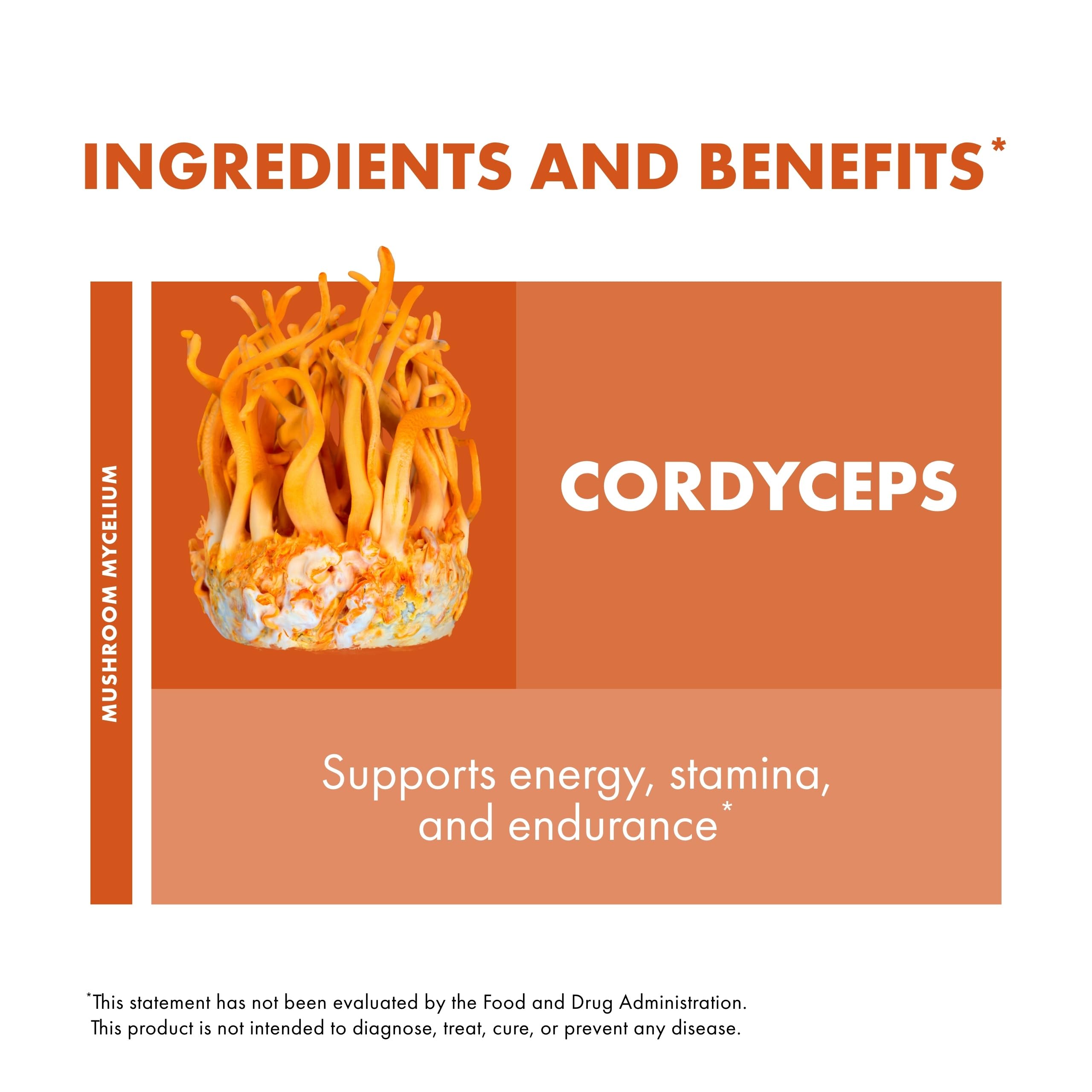 Nutrition facts label on supplement packaging