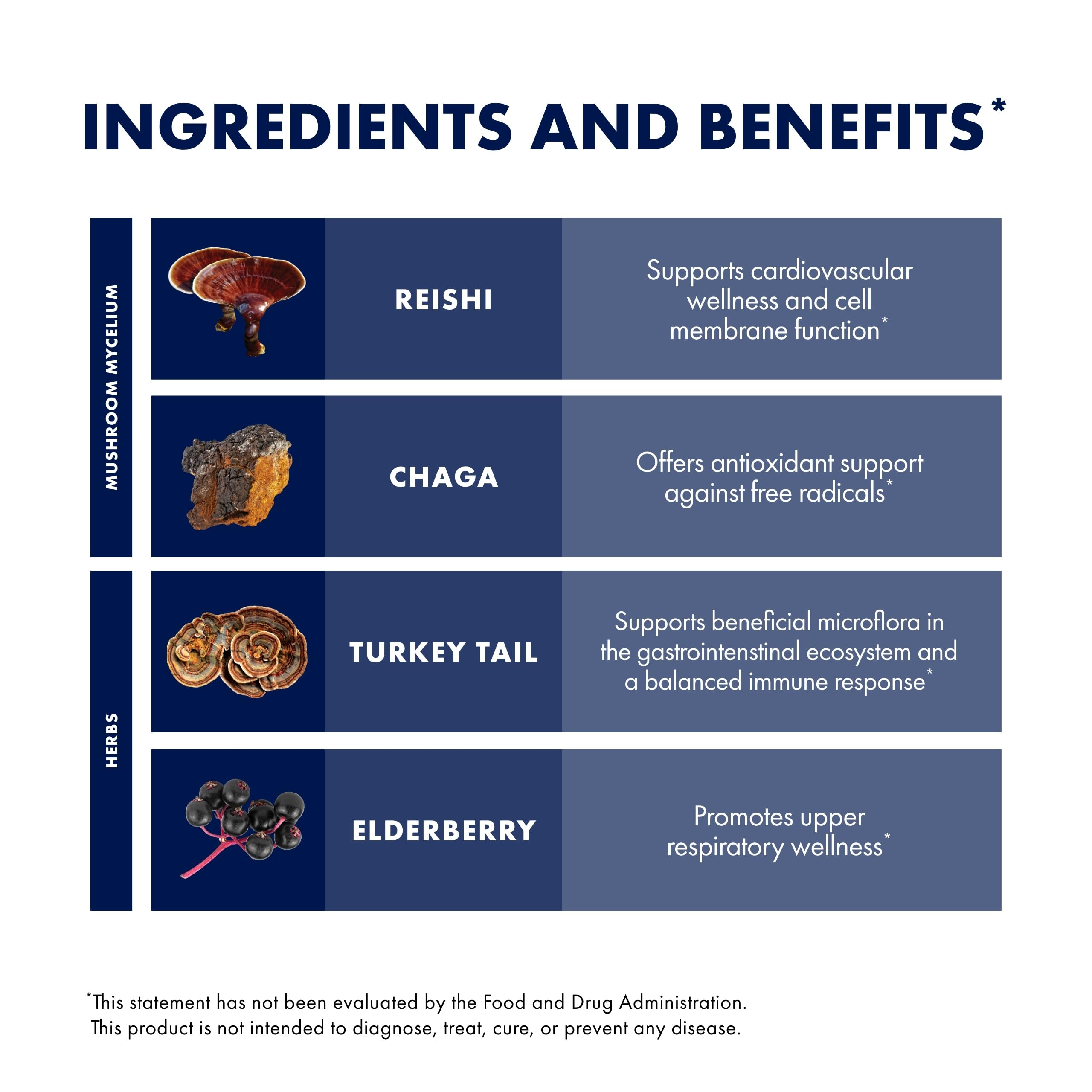 Elderberry juice concentrate and extract powder ingredients