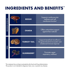 Elderberry juice concentrate and extract powder ingredients