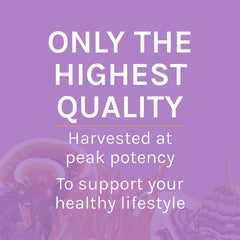 Serving size information for Lion's Mane Powder