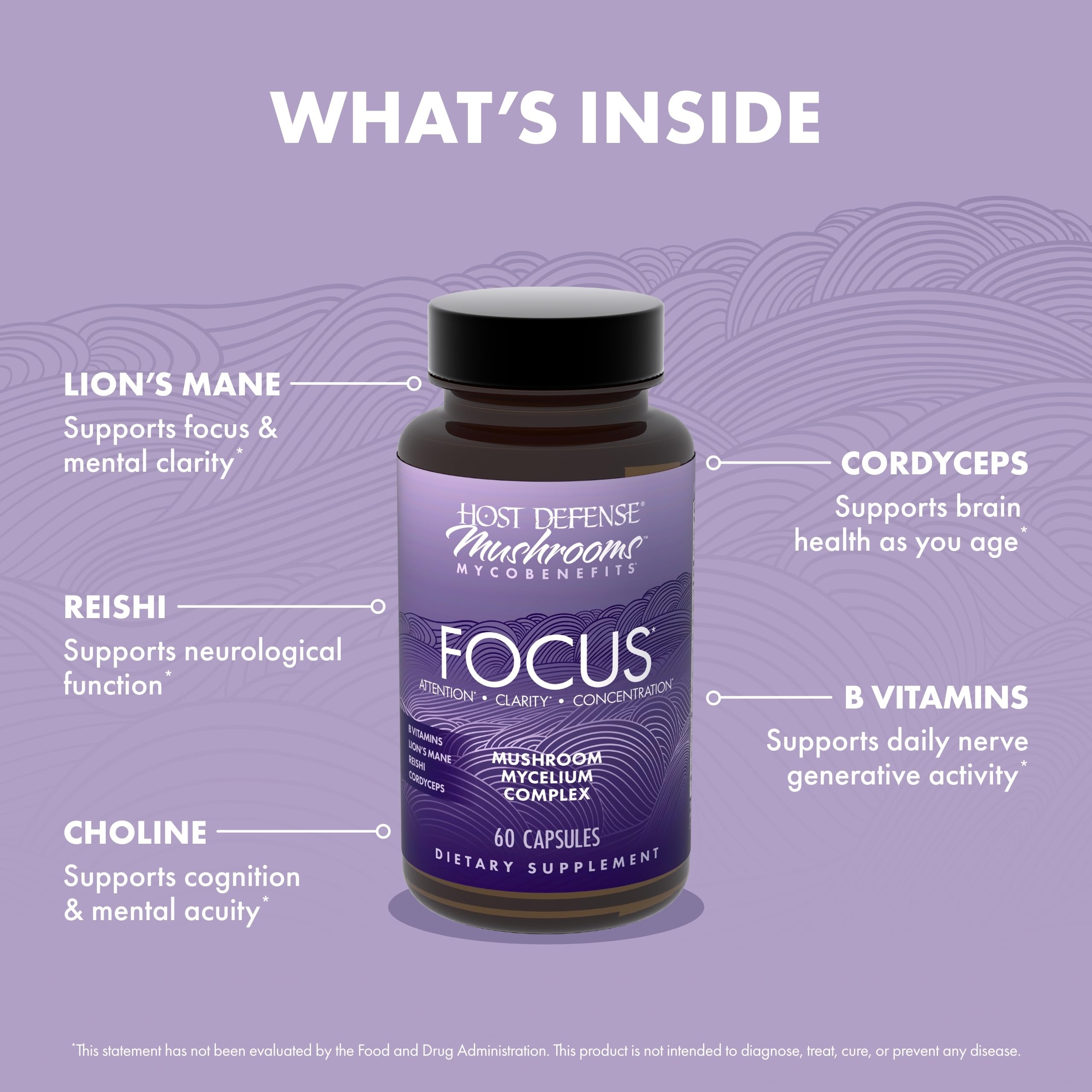 Brain health and focus concept associated with the product