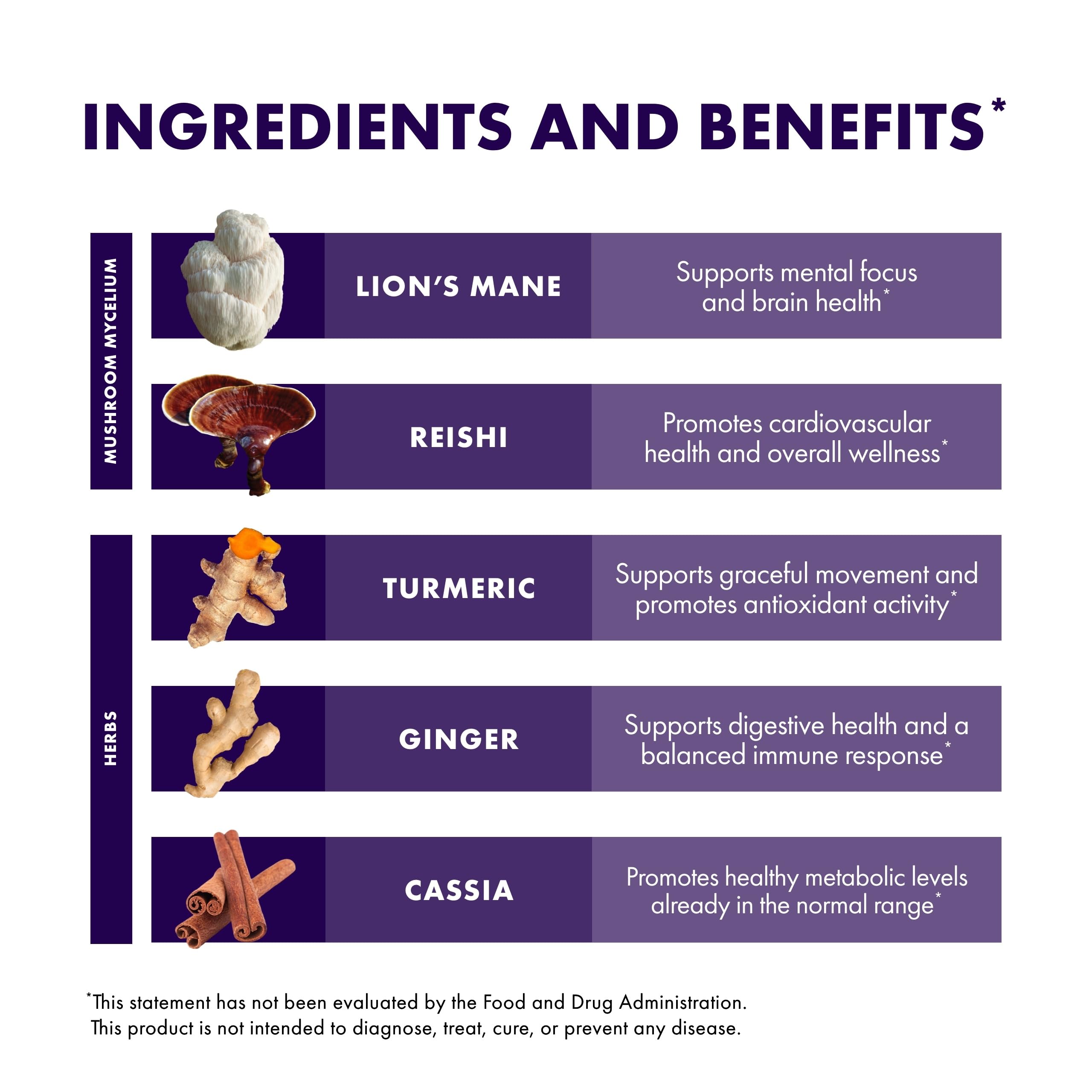 Lion's Mane mushroom in Brain & Body Powder formulation