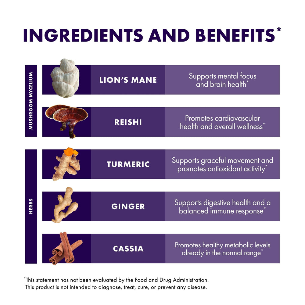 Lion's Mane mushroom in Brain & Body Powder formulation