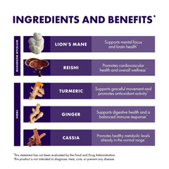 Lion's Mane mushroom in Brain & Body Powder formulation