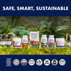 Reishi mushroom in Brain & Body Powder formulation