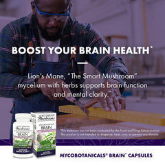 Lion's Mane and Reishi mushrooms symbolizing brain support