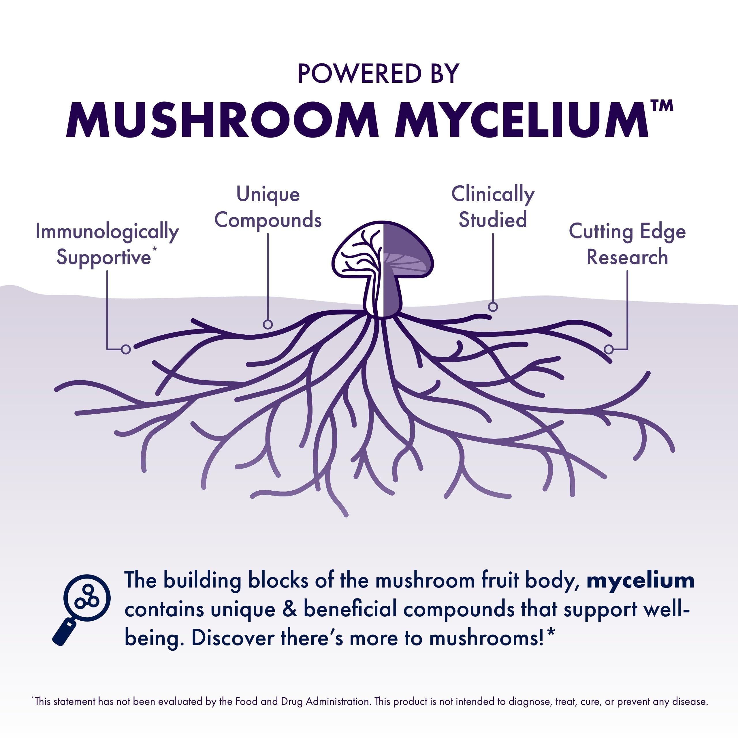 Cordyceps and Reishi mushrooms arranged for brain health