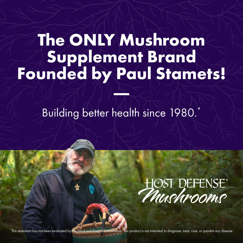 Organic mushroom mycelium grown on brown rice substrate