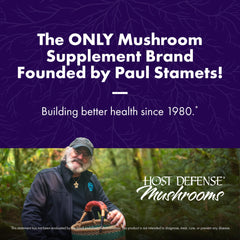 Organic mushroom mycelium grown on brown rice substrate