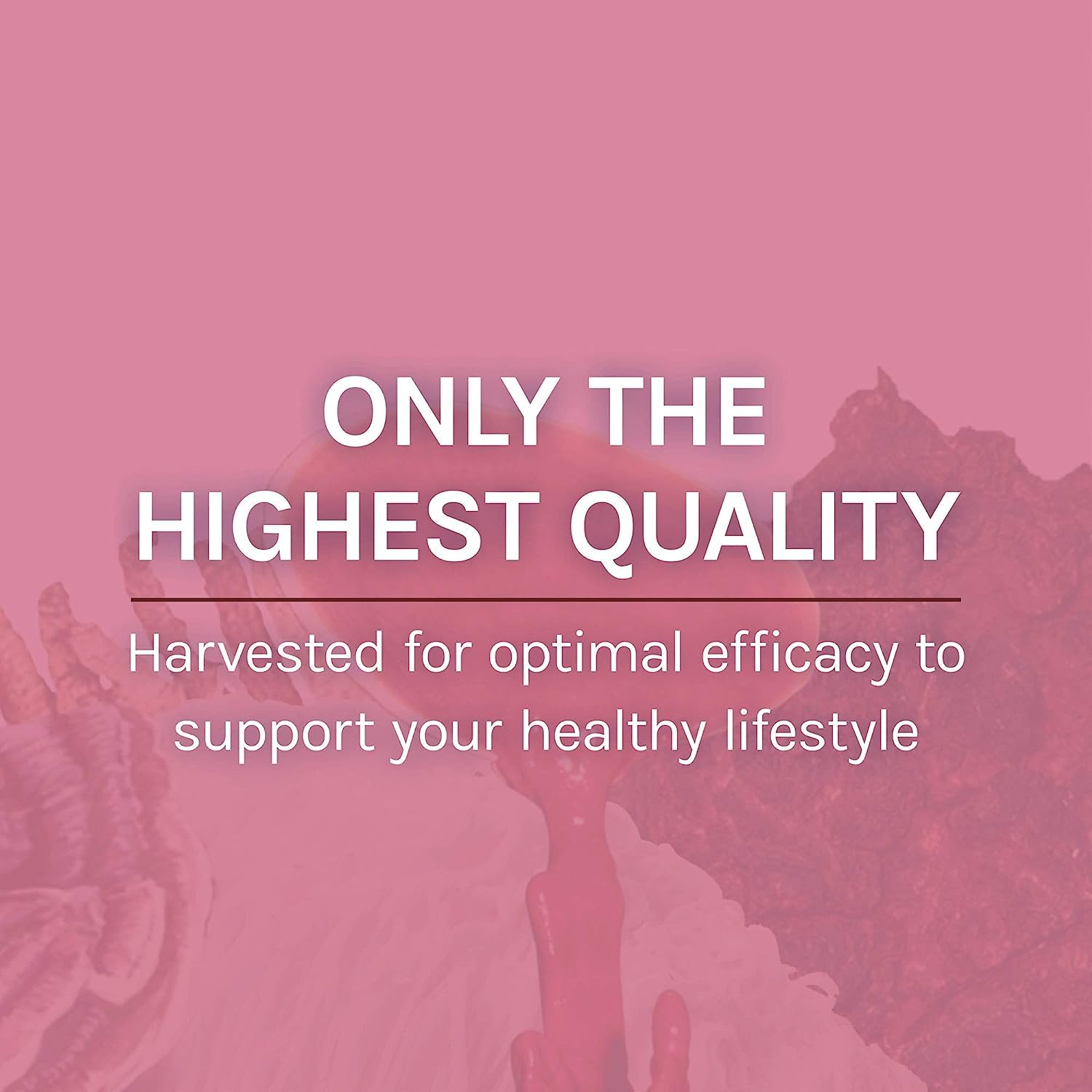 Probiotic blend and herbs included in the supplement