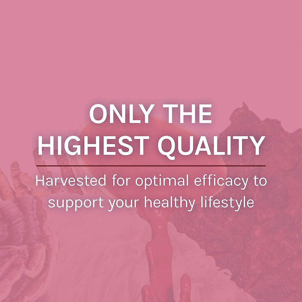 Probiotic blend and herbs included in the supplement