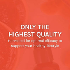 Product design showcasing mushroom blend and health symbols