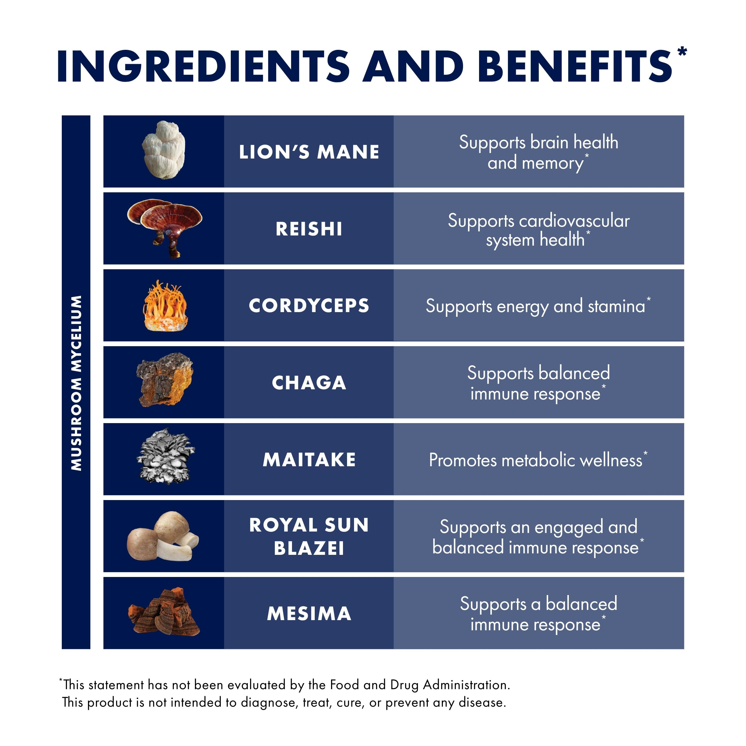 Cordyceps mushroom in Stamets 7-7 blend