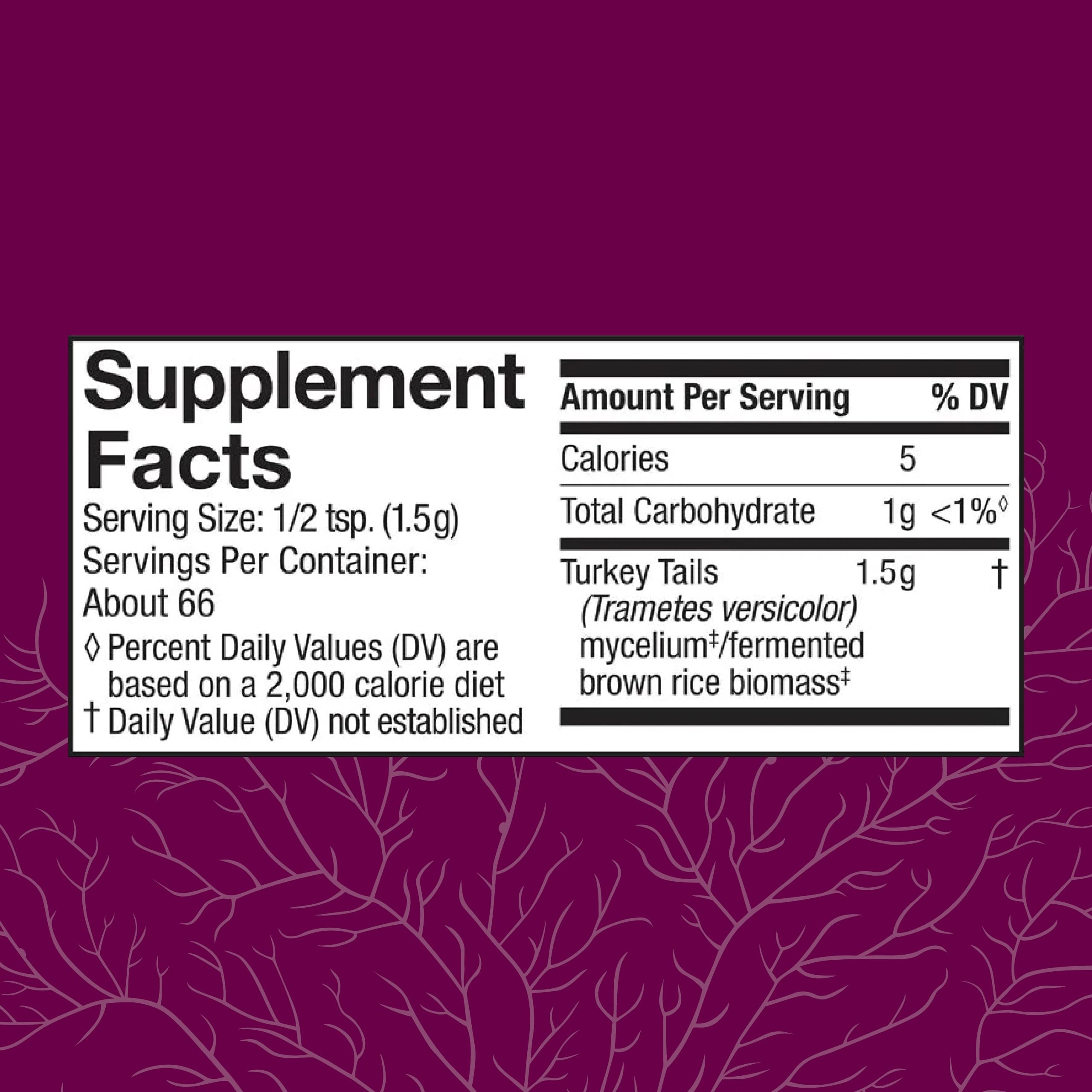 Close-up of turkey tail powder in a measuring scoop