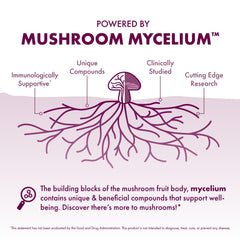 Ingredients panel showing organic mushroom mycelium and prebiotics