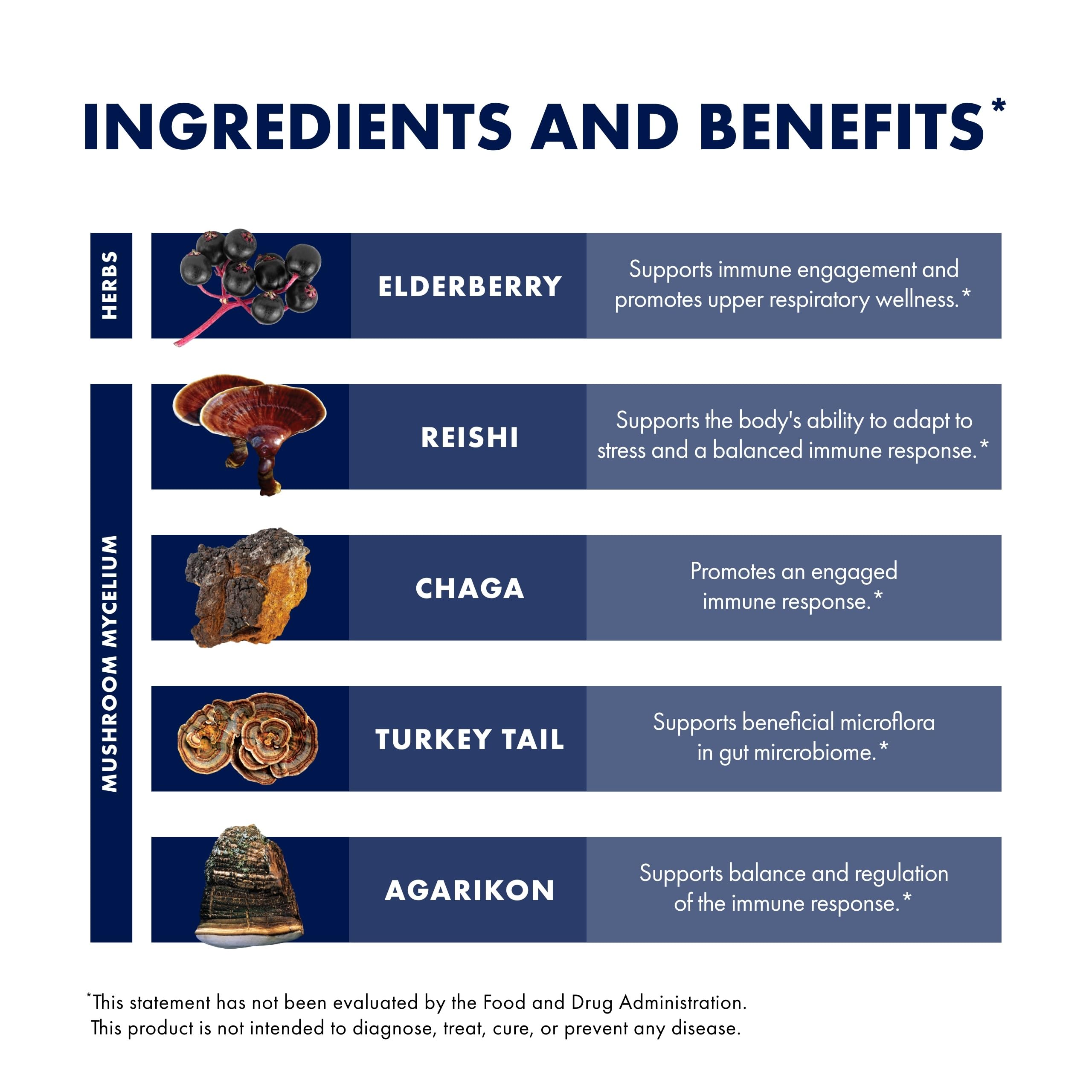 USA-grown organic mushroom mycelium and extracts